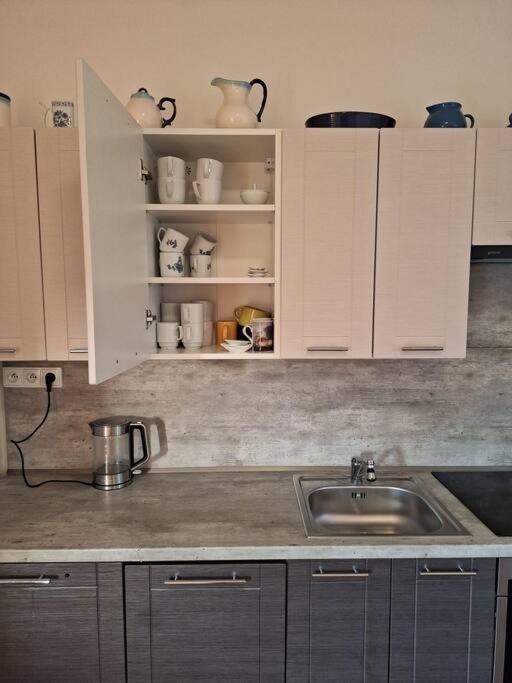 Apartman H&H Na Vysocine Střítež 外观 照片